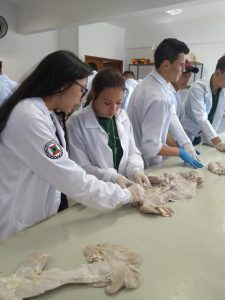 Laboratório de Anatomia animal