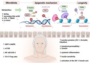 Resumo gráfico do artigo
