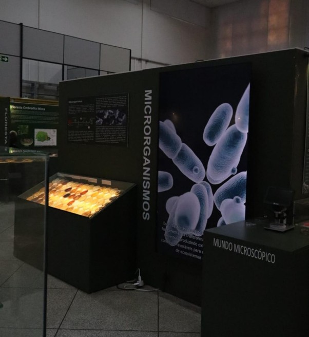 Imagem do micromuseu