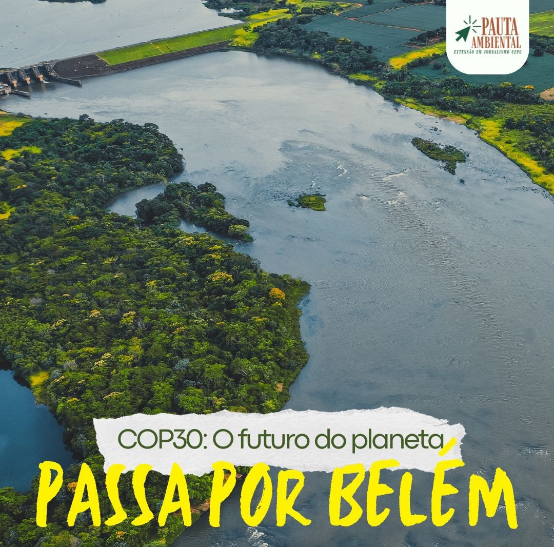 Quando a floresta vira palco da esperança (ou da omissão)