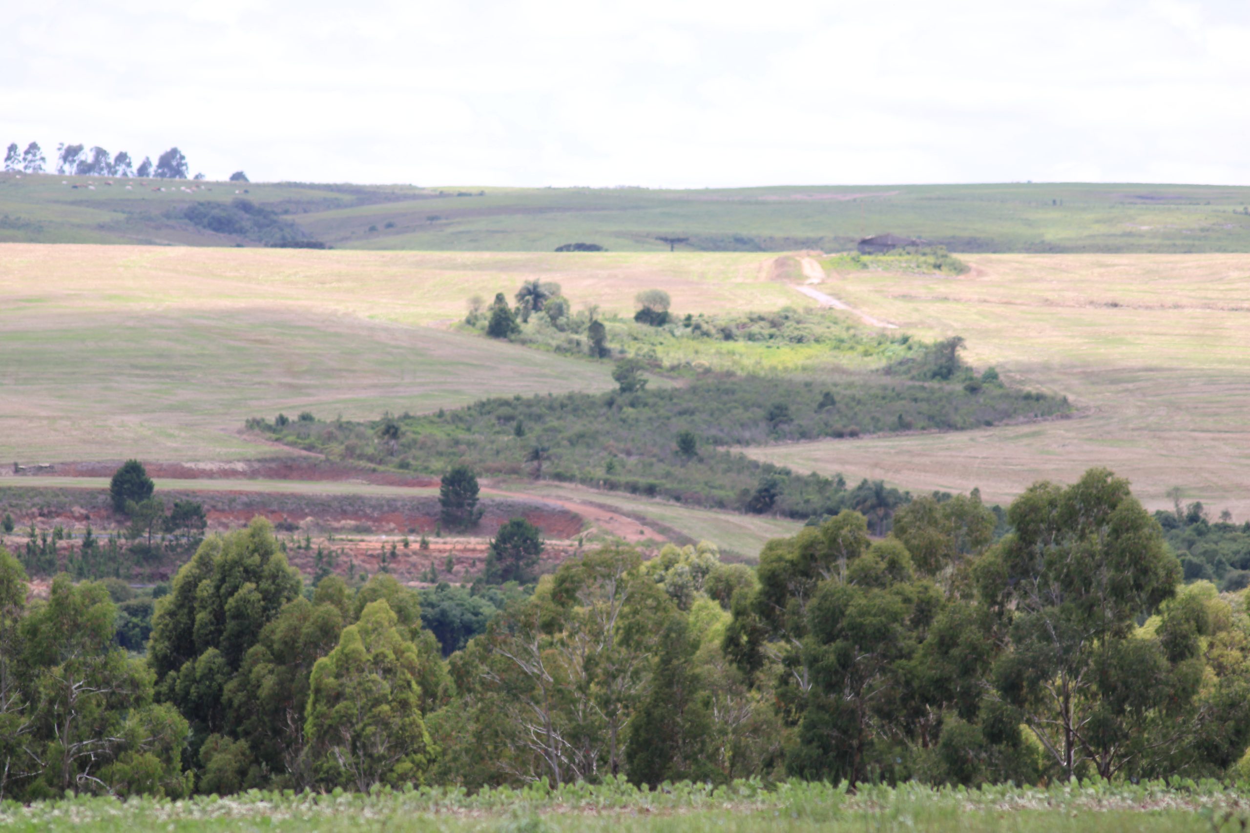 Ponta Grossa Ambiental entra com novo pedido para construção de aterro sanitário em área da Escarpa Devoniana