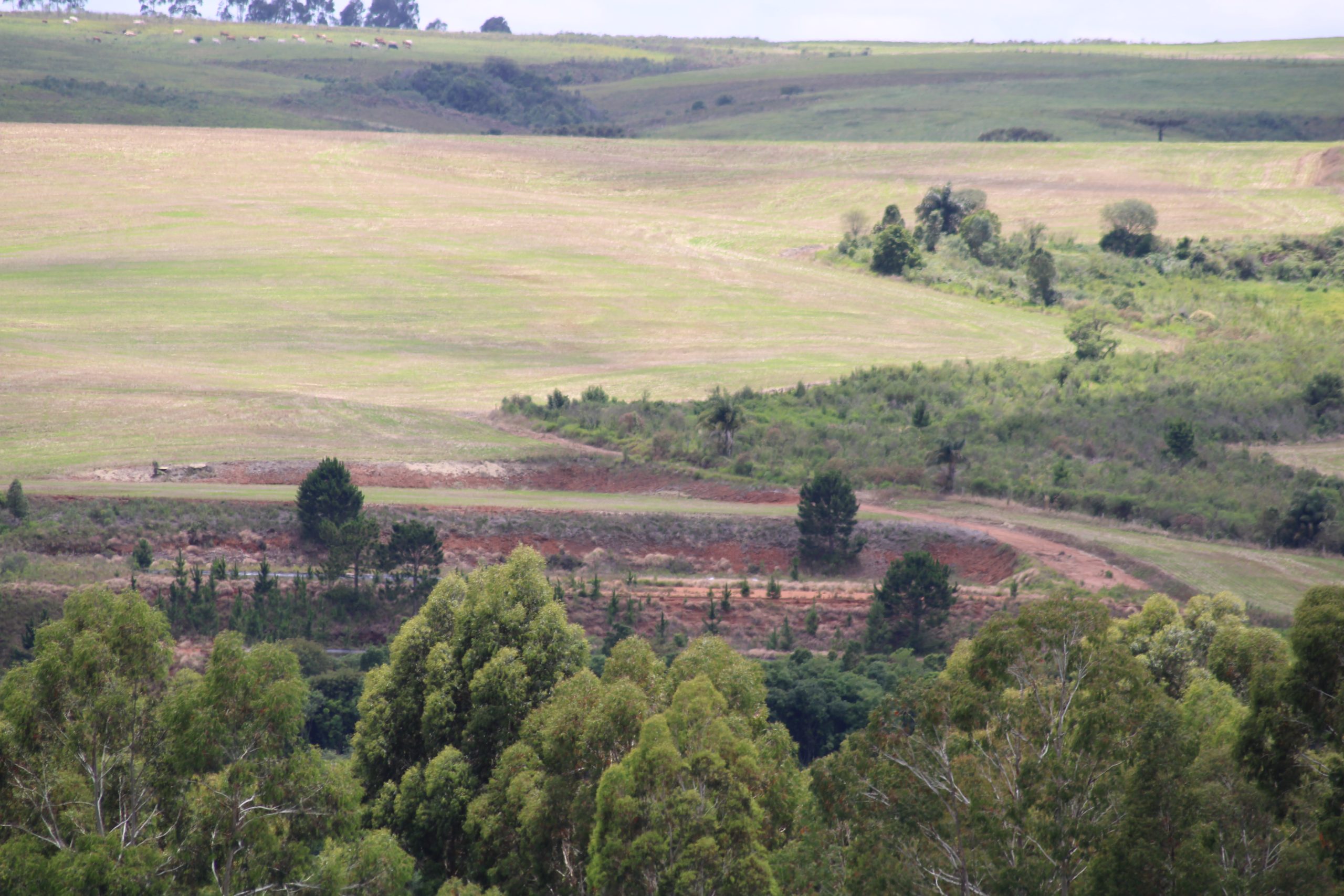 IAT afirma não haver novo pedido de licença para aterro sanitário em área da Escarpa Devoniana