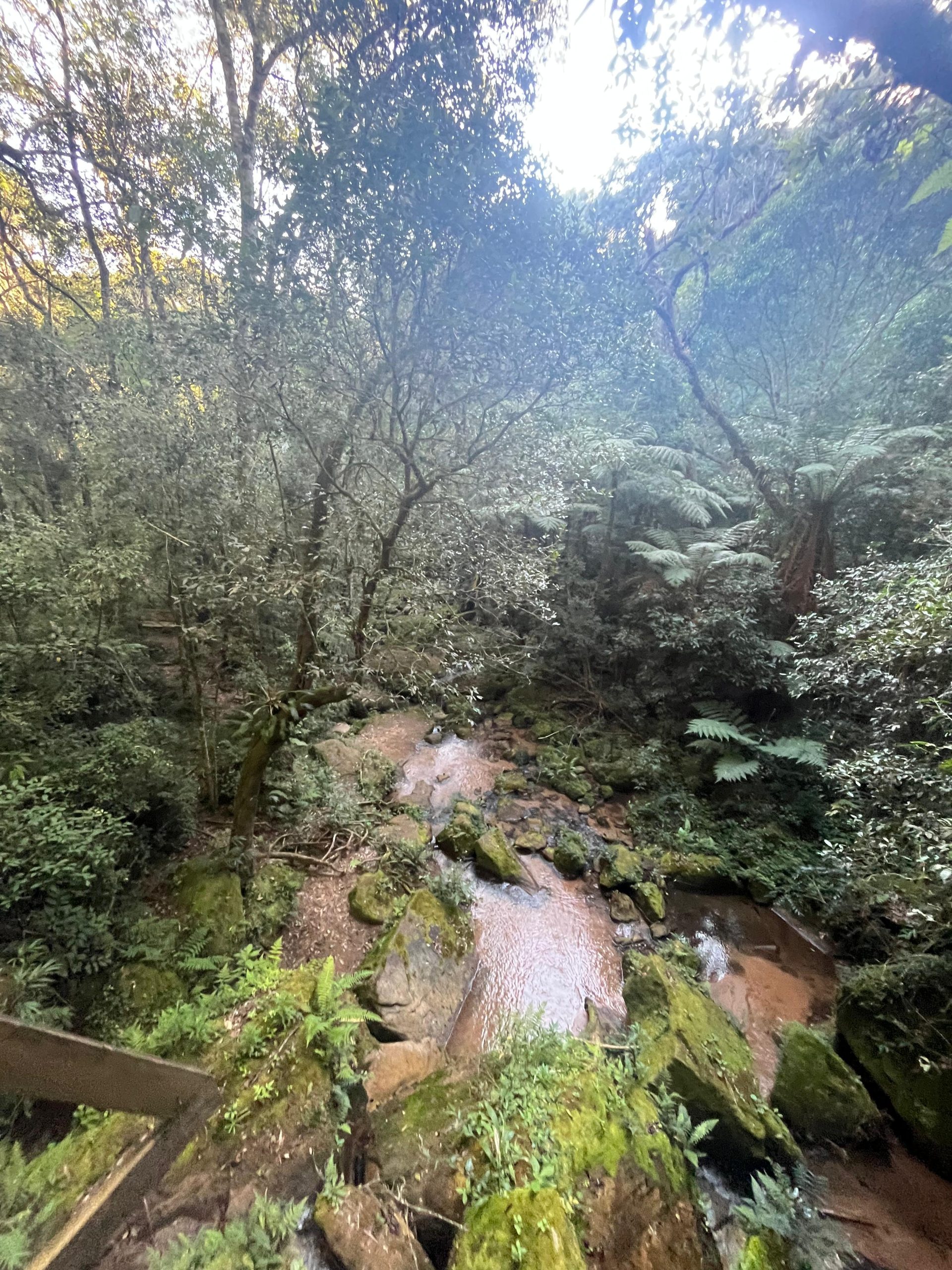22 de Maio: O desafio de se preservar a biodiversidade 