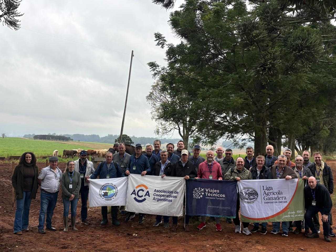 Grupo de produtores argentinos visita experimentos com a raça Purunã em Sistemas Integrados de Produção Agropecuária