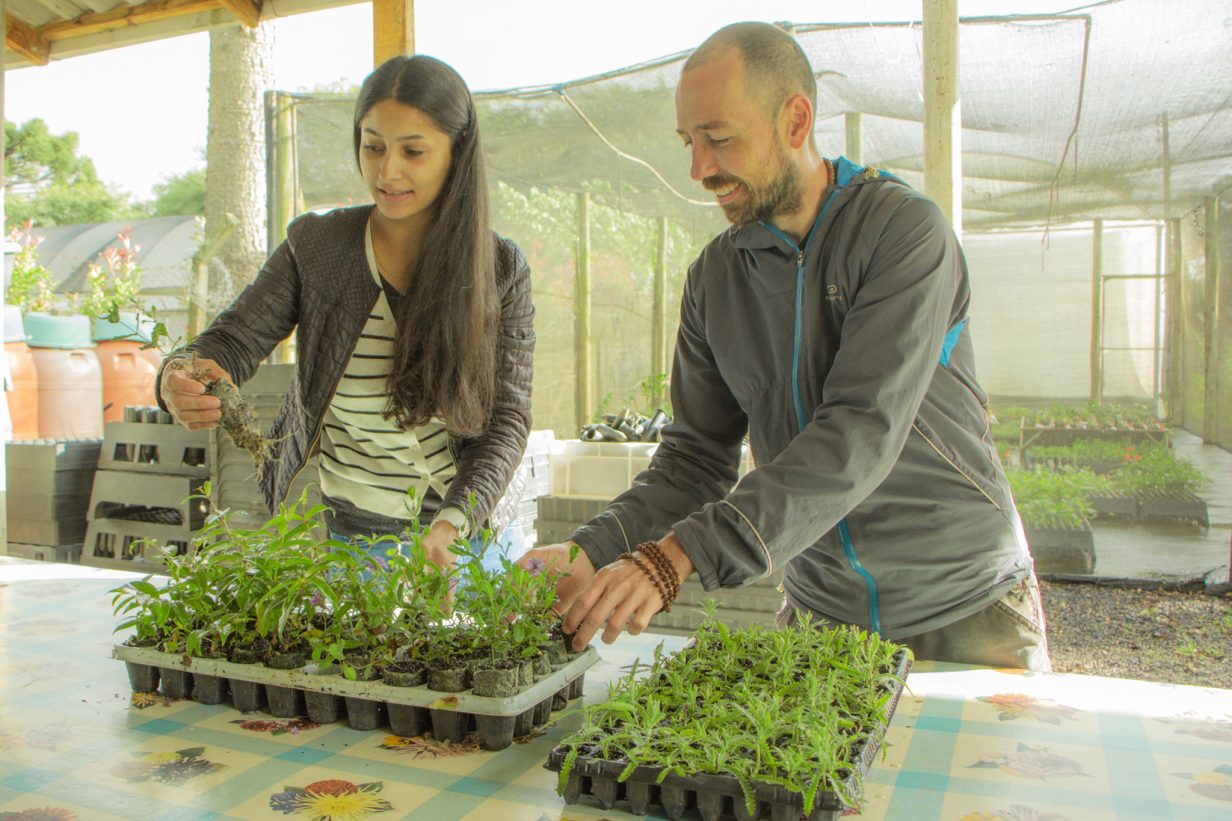 Grupo da UEPG cultiva mudas aromáticas e medicinais em “Jardim de Afetos”