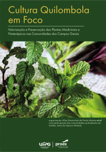 Cultura Quilombola em Foco – Valorização e Preservação das Plantas Medicinais e Fitoterápicos nas Comunidades dos Campos Gerais